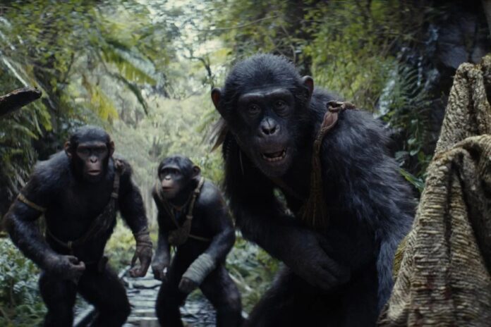 Kingdom-of-the-Planet-of-the-Ape
