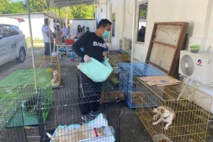 Vaksinasi-rabies-serangan-edit.j