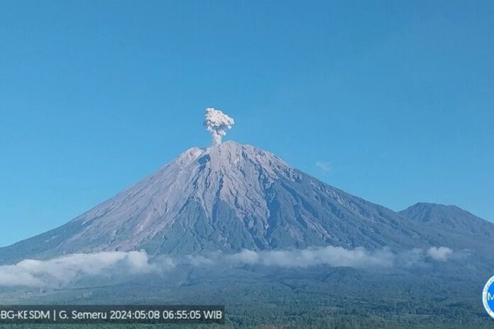 WhatsApp-Image-2024-05-08-at-09