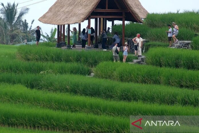 jatiluwih-lokasi-kunjungan-deleg