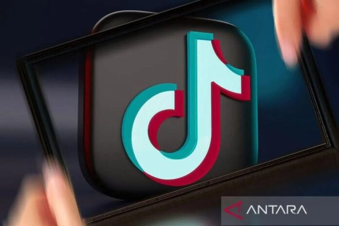 tiktok-ok.jpg