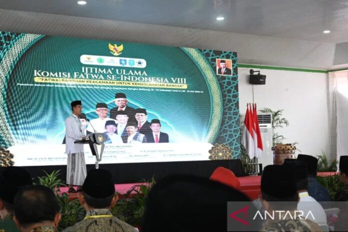 IMG_20240530_182055.jpg