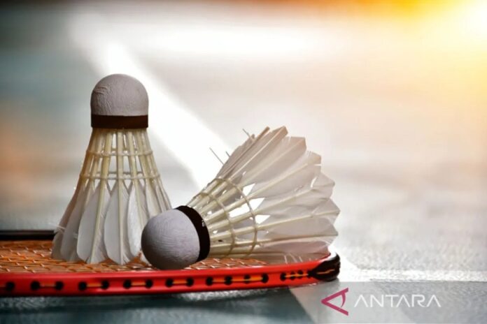badminton-1.jpg