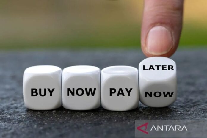 pay-later2a.jpg