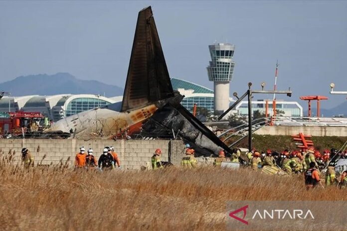 anadolu_aircrash_skorea_1.jpg