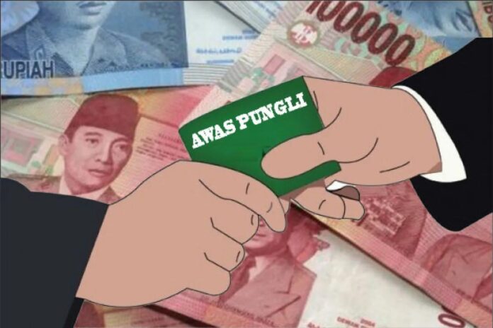 PUNGLI_.jpg