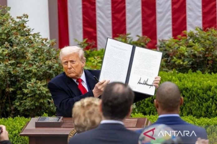 Trump.jpg (2)
