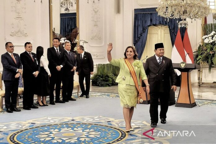 WhatsApp-Image-2025-08-11-at-12