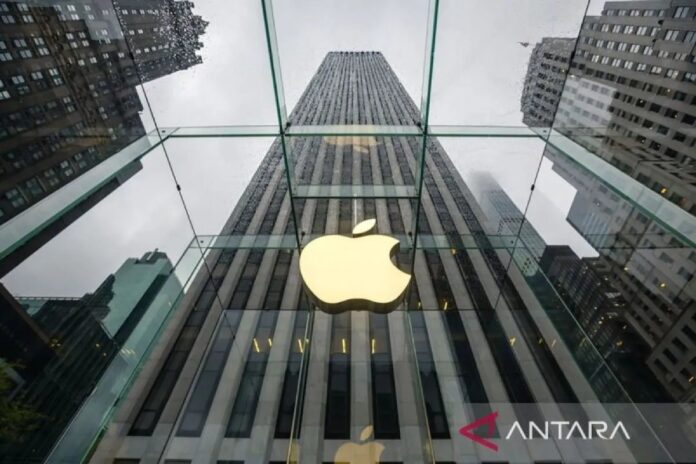 apple-1.jpg (1)