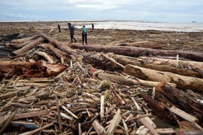 Sampah-kayu-gelondongan-pasca-ba