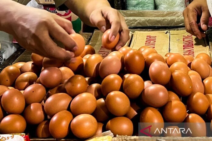 download (43)