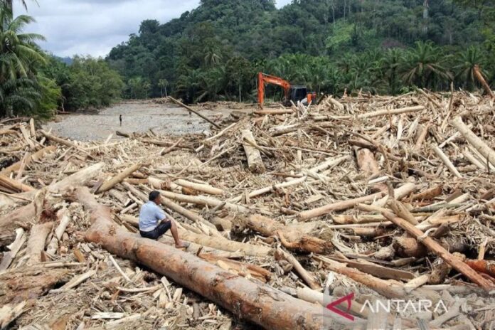 sampah-gelondongan-banjir-bandan