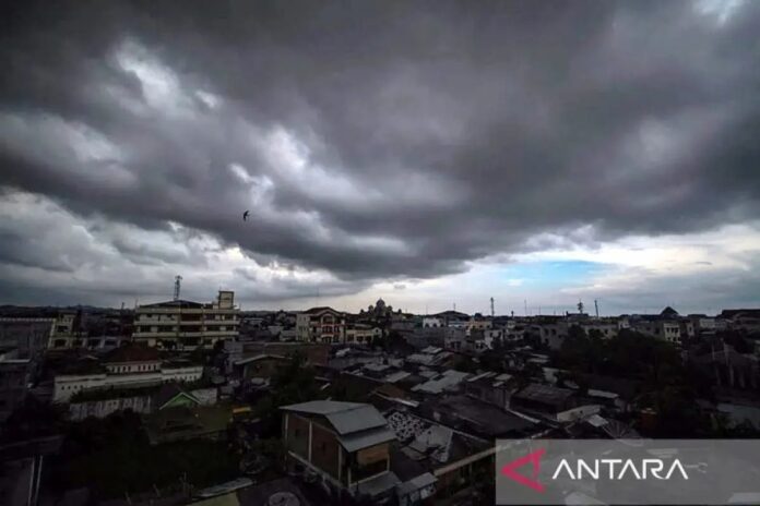 download - 2026-01-23T120251.516