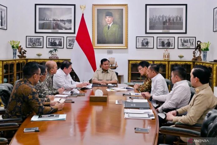 WhatsApp-Image-2026-03-19-at-20