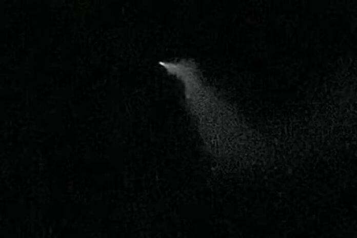 1001168454.jpg