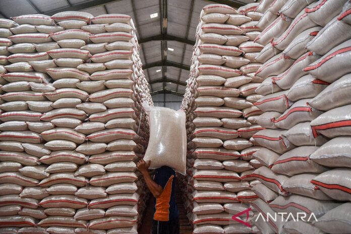 Indonesia-produksi-beras-tertinggi-di-Asia-Tenggara-230626-adb-8