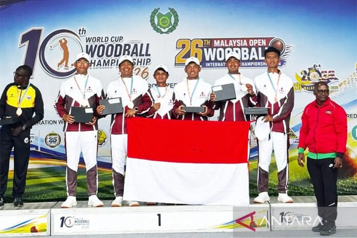woodball-copy_1.jpg